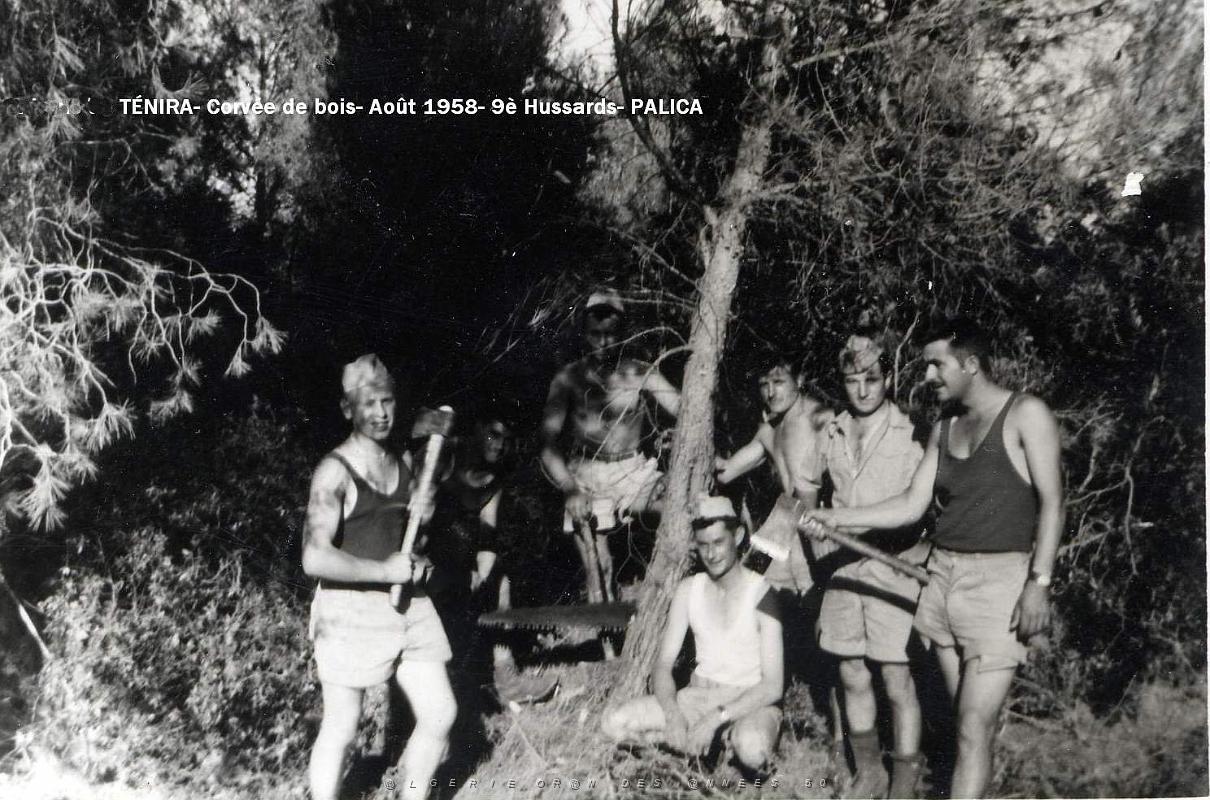 Palica - E- Divers 022.JPG
